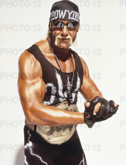 Hulk hogan, 90's