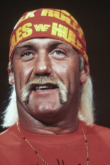 Hulk hogan, 90's