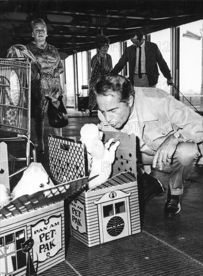 Rossano brazzi with his dogs, 1969