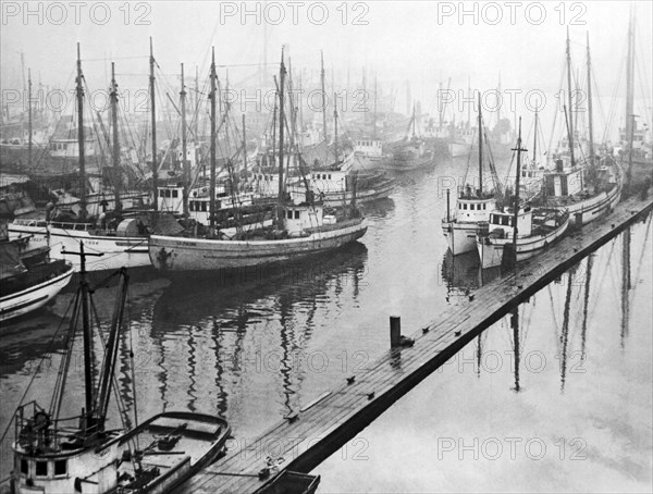 Seattle Fishing Fleet