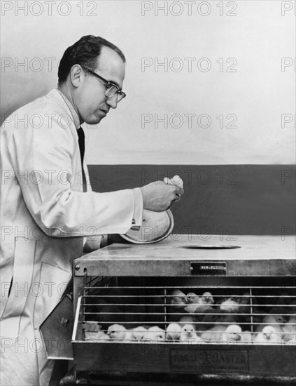Dr. Jonas Salk At Work
