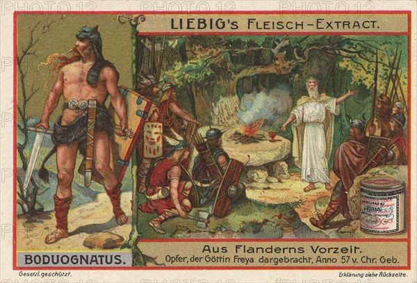 Picture series from prehistoric times in Flanders