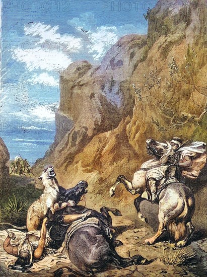 Puma attacks two Arab horsemen