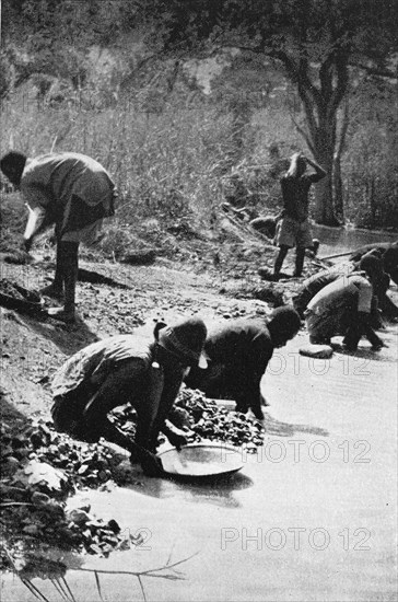 Gold panning at the Lupa River