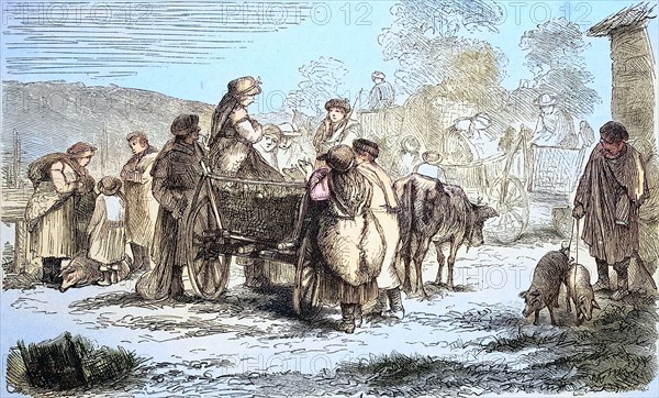 Pig market in Moravian Slovakia in 1880