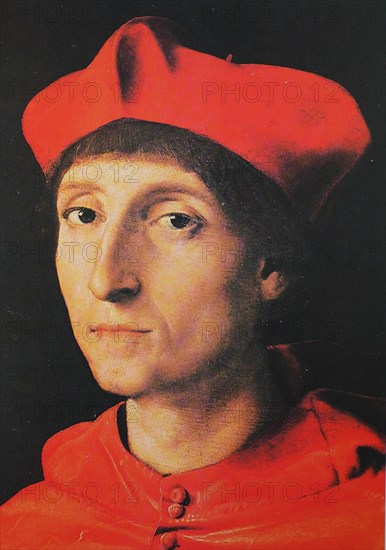 Portrait of a Cardinal