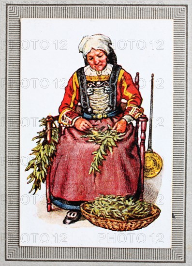 Traditional Costumes In Germany In The 19Th Century