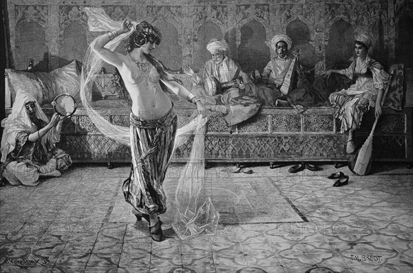 Arab Veil Dance In The Harem