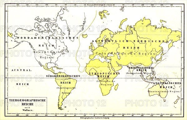 Animal Geographic World Map