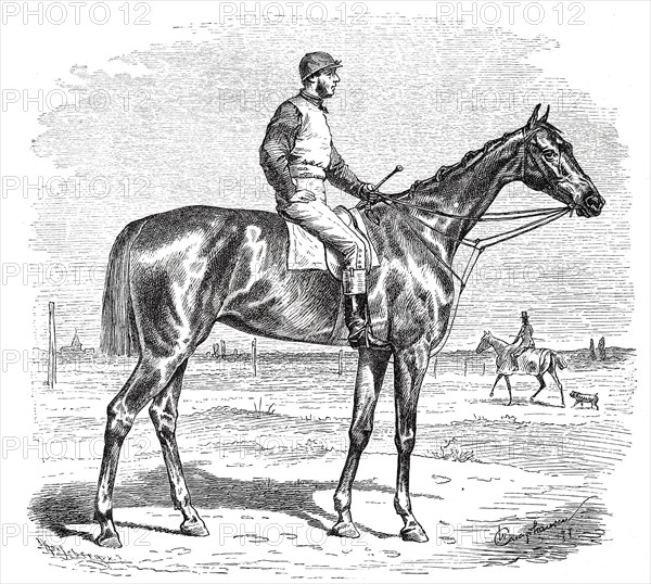 Racehorse