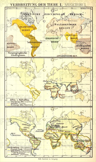 Distribution Of Animals According To Brehm'S Animal Life In The 19Th Century