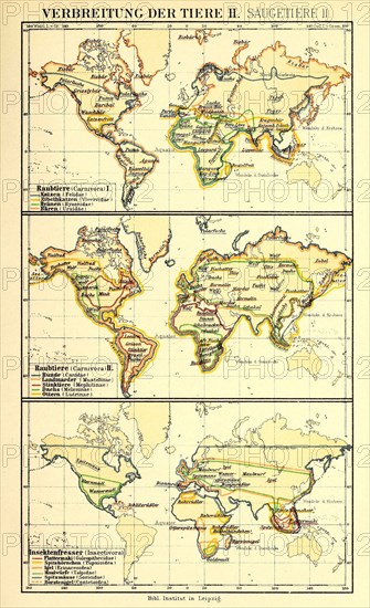 Distribution Of Animals According To Brehm'S Animal Life In The 19Th Century