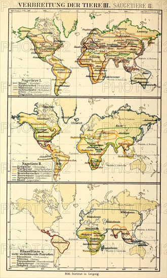 Distribution Of Animals According To Brehm'S Animal Life In The 19Th Century