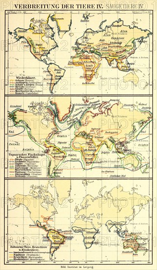 Distribution Of Animals According To Brehm'S Animal Life In The 19Th Century