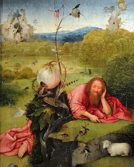 Saint John the Baptist in Meditation.