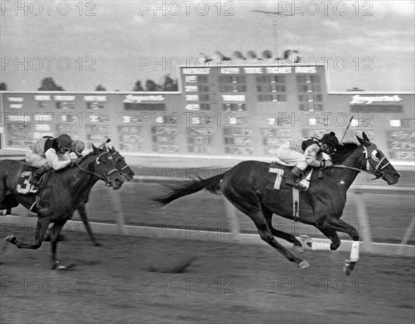 Four Hooves Off The Ground