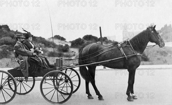Couple In Horse Drawn Wagon