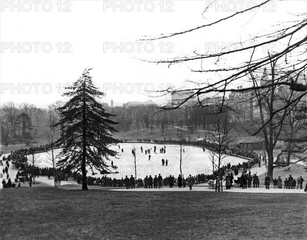 Ice Skaters in Central Park