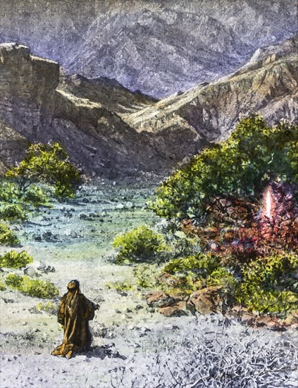 The Burning Bush Is An Object Described By The Book Of Exodus As Being Located On Mount Horeb.