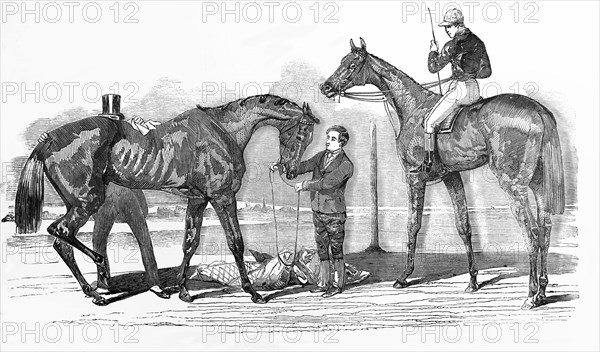 The Doncaster Winners, st Ledger Knight Of St George And Doncaster Cup Virago.