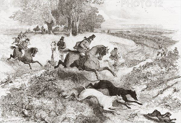 Hare coursing, the pursuit of hares with greyhounds, in England in the 19th century.