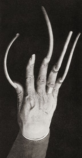 The hand of an Annamite.