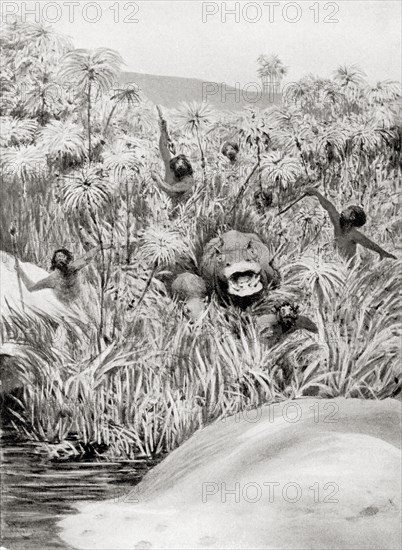 Early Egyptians hunting hippopotamus.