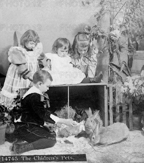Three girls and a boy sitting on a crate with Rabbits.