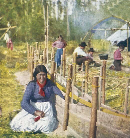 Chippewa Squaw making a birch canoe.