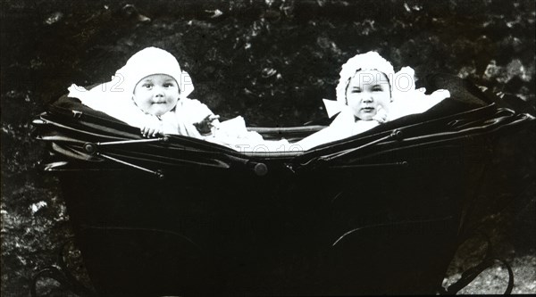 Baby twins in a pram.