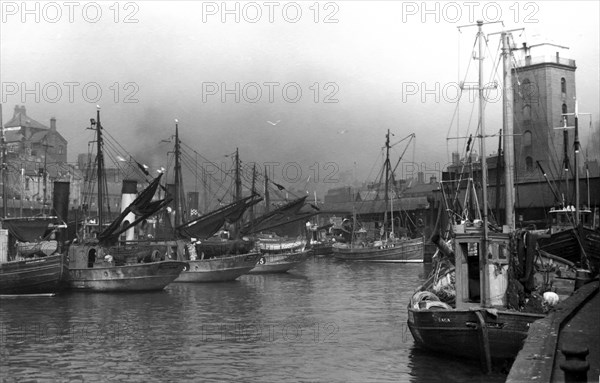 Fish Quay with fishing boats and buildings.