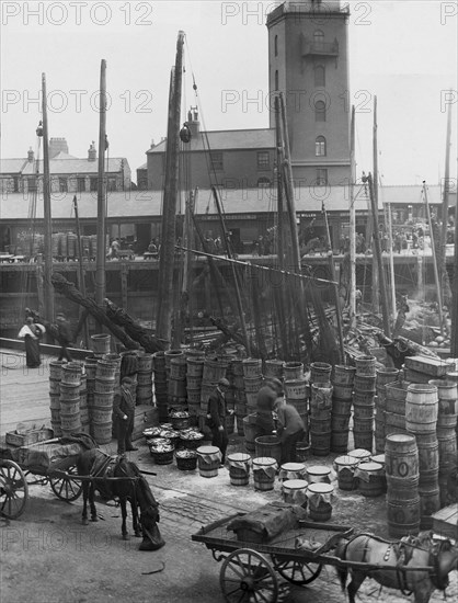 Fish Quay with fishing boats and fishermen.