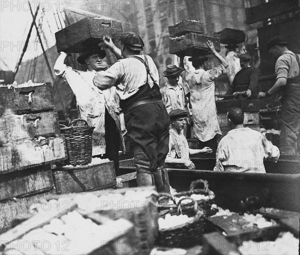 North Sea fishermen unloading and boxing fish on board fishing boat.