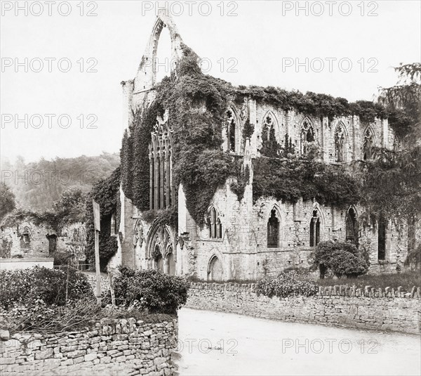 Tintern Abbey.