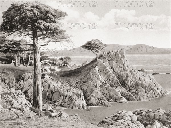 The Lone Cypress Midway Point on the 17 Mile Drive which includes Del Monte.