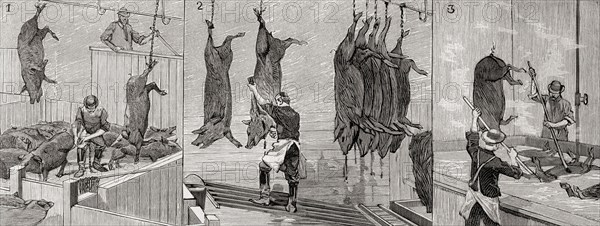 Three scenes from a slaughterhouse in Chicago.