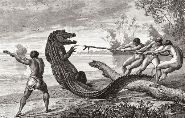 African tribesmen killing a crocodile.