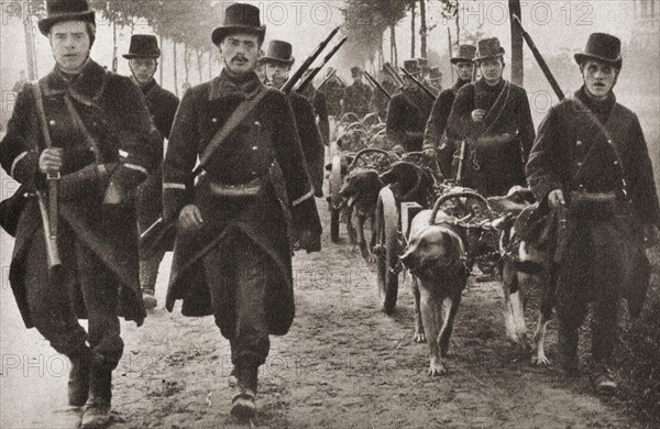 Dogs used to pull the machine guns of the Belgian army during WWI.
