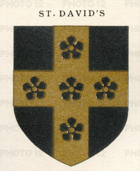 Diocese of St Davids.