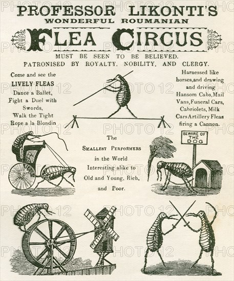 Playbill of the Professor Likonti's Wonderful Romanian Performing Fleas.