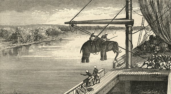 Transportation of elephants from India to Africa.