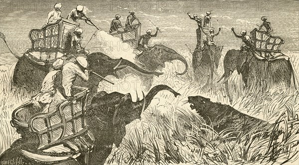 Hunters mounted on elephants.