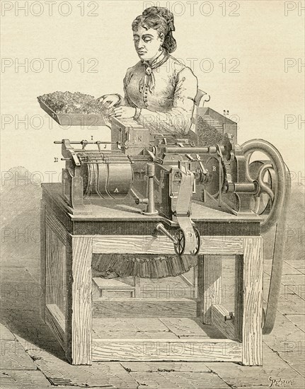 Woman sat at a cigarette making machine in the late 19th century.
