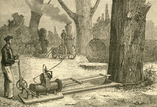 Cutting trees using vapour machines.