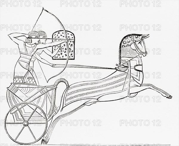 Egyptian war chariot.