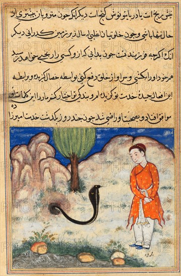 Illustration du Touti-Nameh