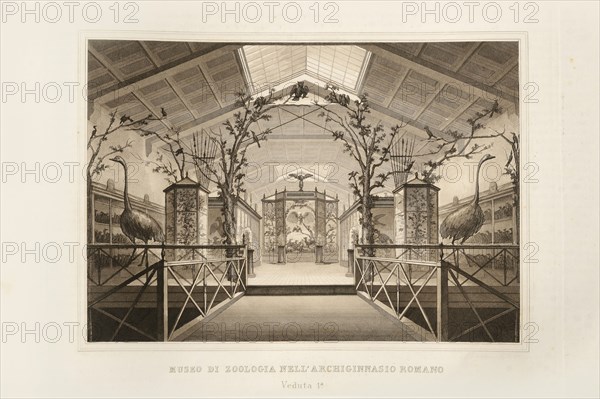 La Science et les Arts sous le pontificat du pape Pie IX, 1860