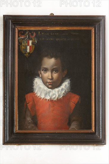 Claudio Ridolfi, Portrait of Luca Sandreani