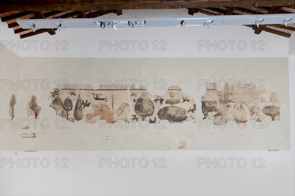 Frescoes in the Town Hall of Esanatoglia