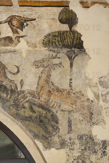 Frescoes in the Town Hall of Esanatoglia